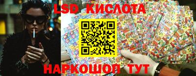 прущие грибы Кимры