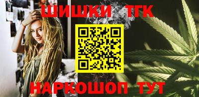 гидра Кингисепп