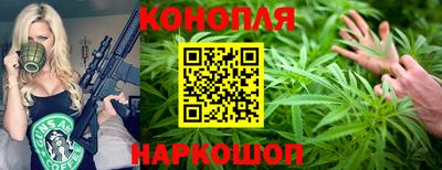 гидра Кингисепп