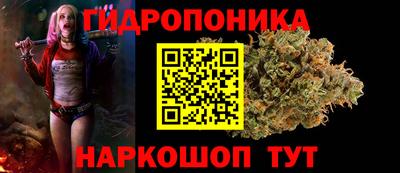 прущие грибы Кимры