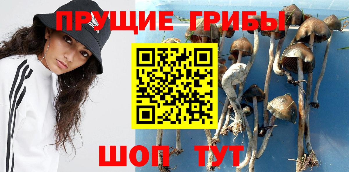 Галлюциногенные грибы ЛСД Красногорск