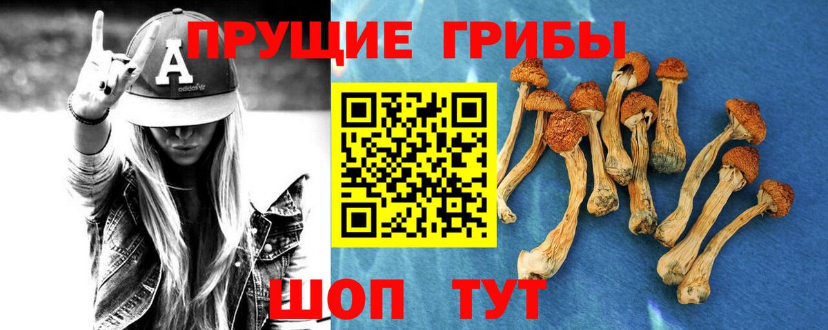 дарнет шоп  Галлюциногенные грибы ЛСД  Красногорск  Вход с VPN  Галлюциногенные грибы мухоморы 